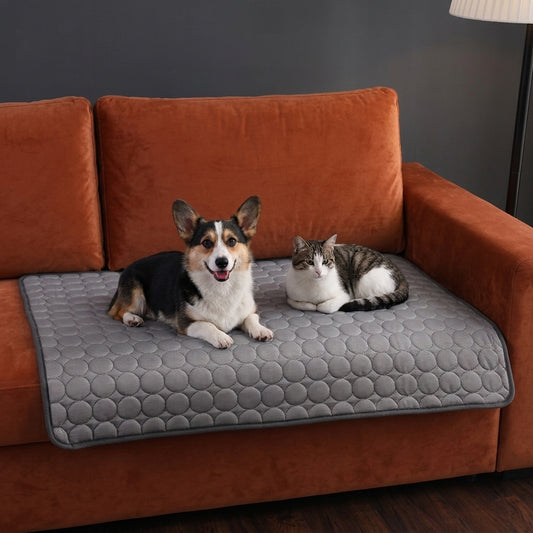 Tapis Rafraîchissant pour Chiens & Chats